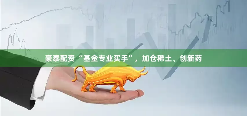 豪泰配资 “基金专业买手”，加仓稀土、创新药