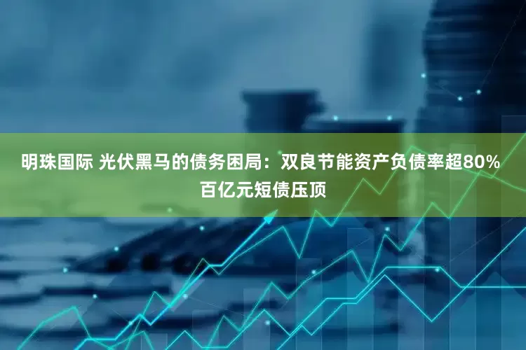 明珠国际 光伏黑马的债务困局:双良节能资产负债率超80% 百亿元短债压顶