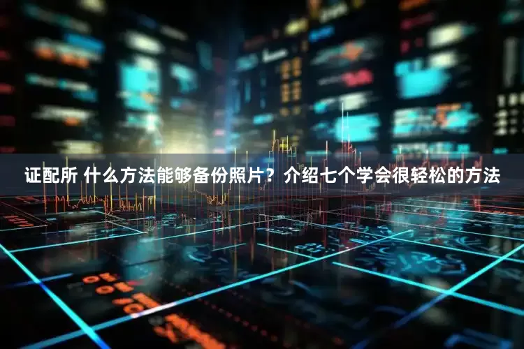 证配所 什么方法能够备份照片？介绍七个学会很轻松的方法